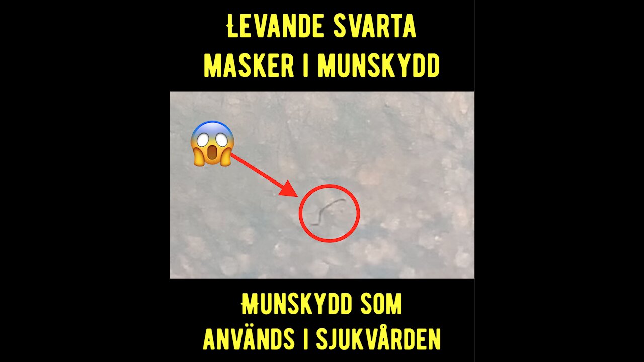 🚨Levande svarta masker i munskydd inom vården🚨