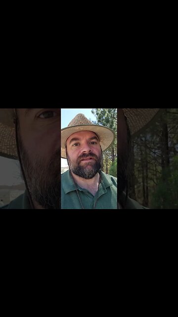 Metroid Prime Remastered $40+ BotW 2 $70...