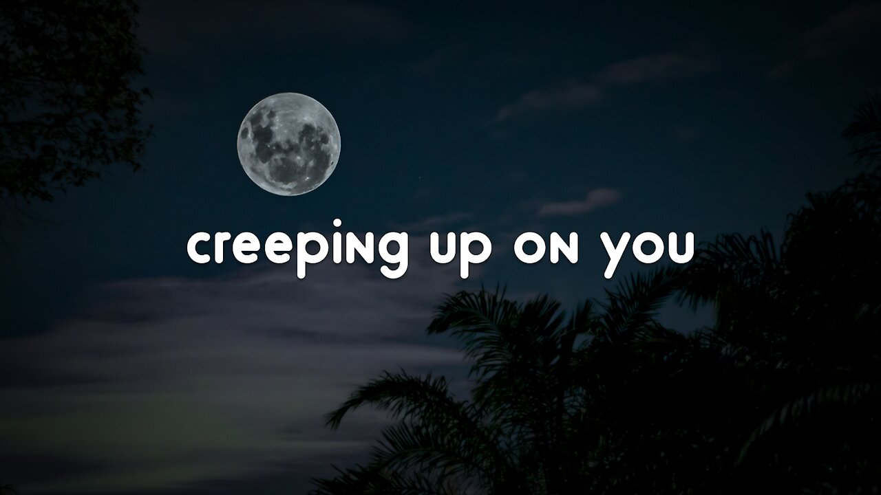 calming music ║ relax with me - creeping up on you