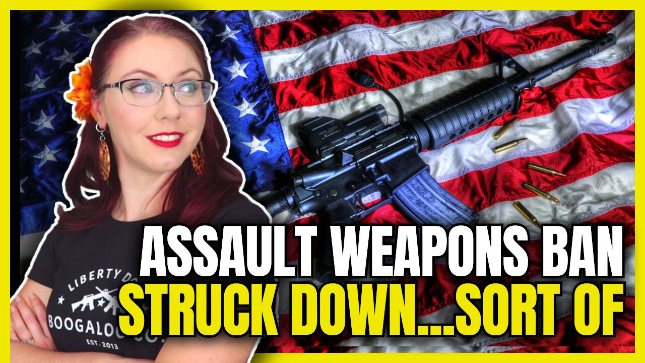 Assault Weapons Ban Struck Down...Sort Of