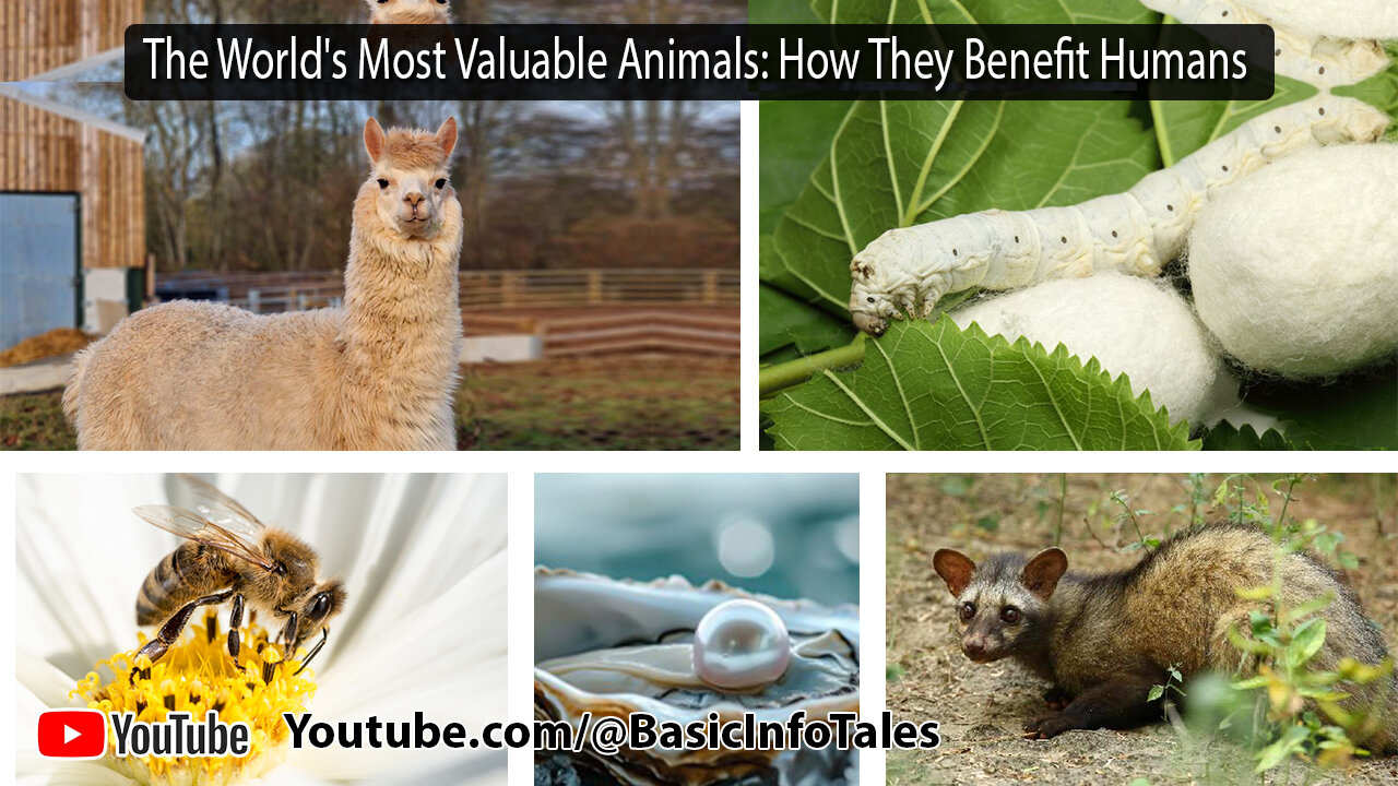 The World's Most Valuable Animals: How They Benefit Humans