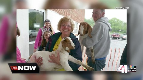 Church class donations push 'goat meter' to 500