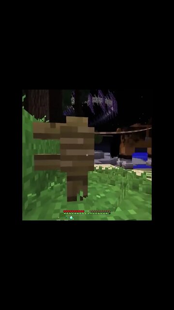 Minecraft #tiktok #Shorts
