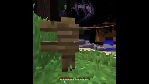 Minecraft #tiktok #Shorts