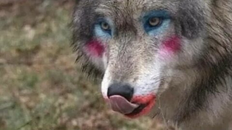 Russia And The FED Will Make You RICH.