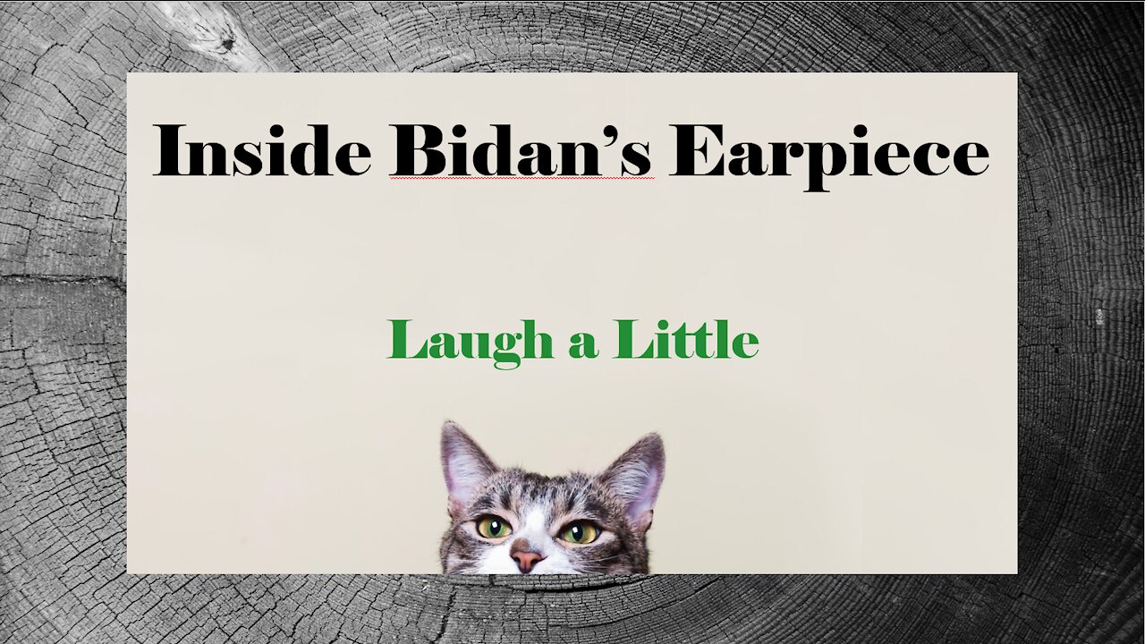 Inside Bidan's Earpiece - Laugh a Little