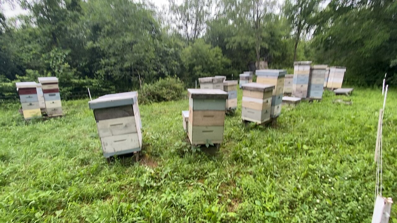 Charlie Mraz apiary!!!! I am in heaven.