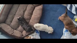 T & V - Growing So Fast! (2)