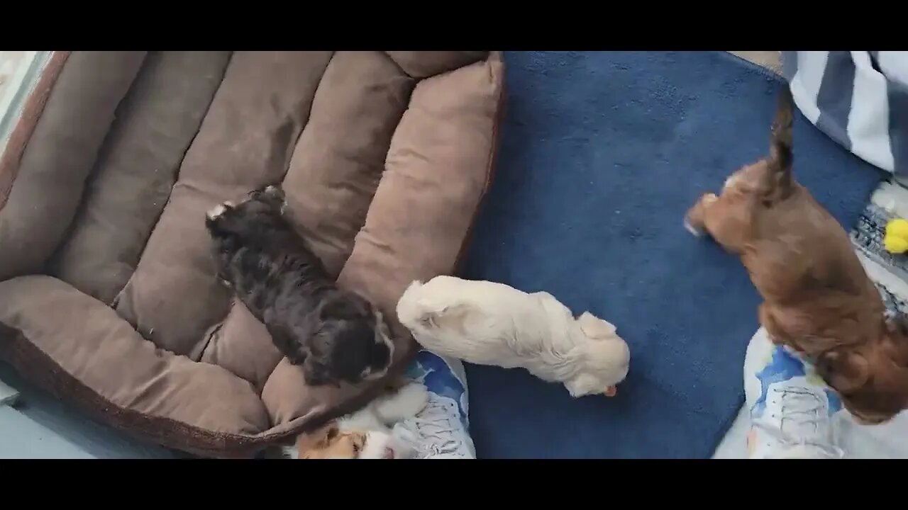 T & V - Growing So Fast! (2)