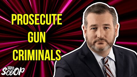 Ted Cruz Calls Out Dems 'Ridiculous Theater' After Shootings