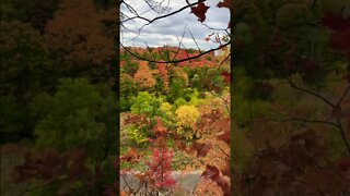 Fall Colours, shall we dance to Polka? 💃💃💃| Lions Valley Park | Sixteen Mile Creek