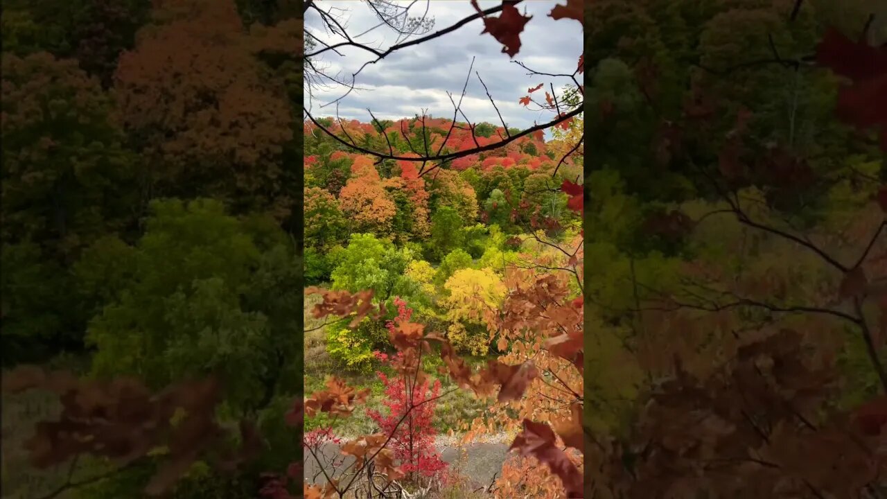 Fall Colours, shall we dance to Polka? 💃💃💃| Lions Valley Park | Sixteen Mile Creek