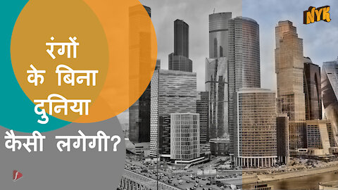 कलर ब्लाइंडनैस क्या होता है?