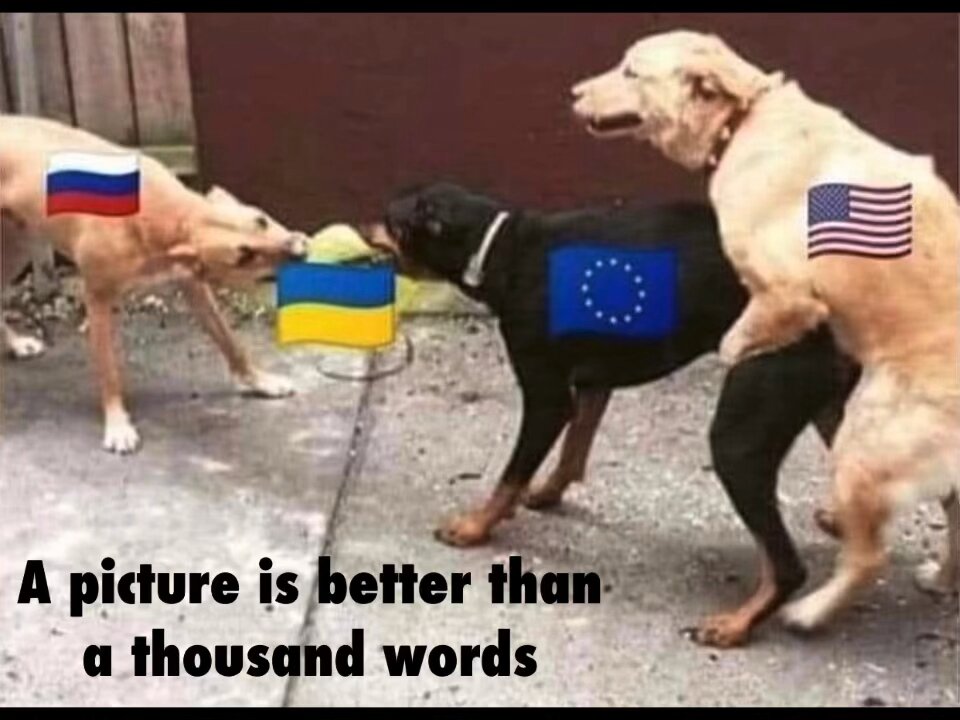 A picture is better than a thousand words, it said it all