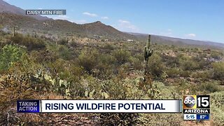 Arizona wildfire danger