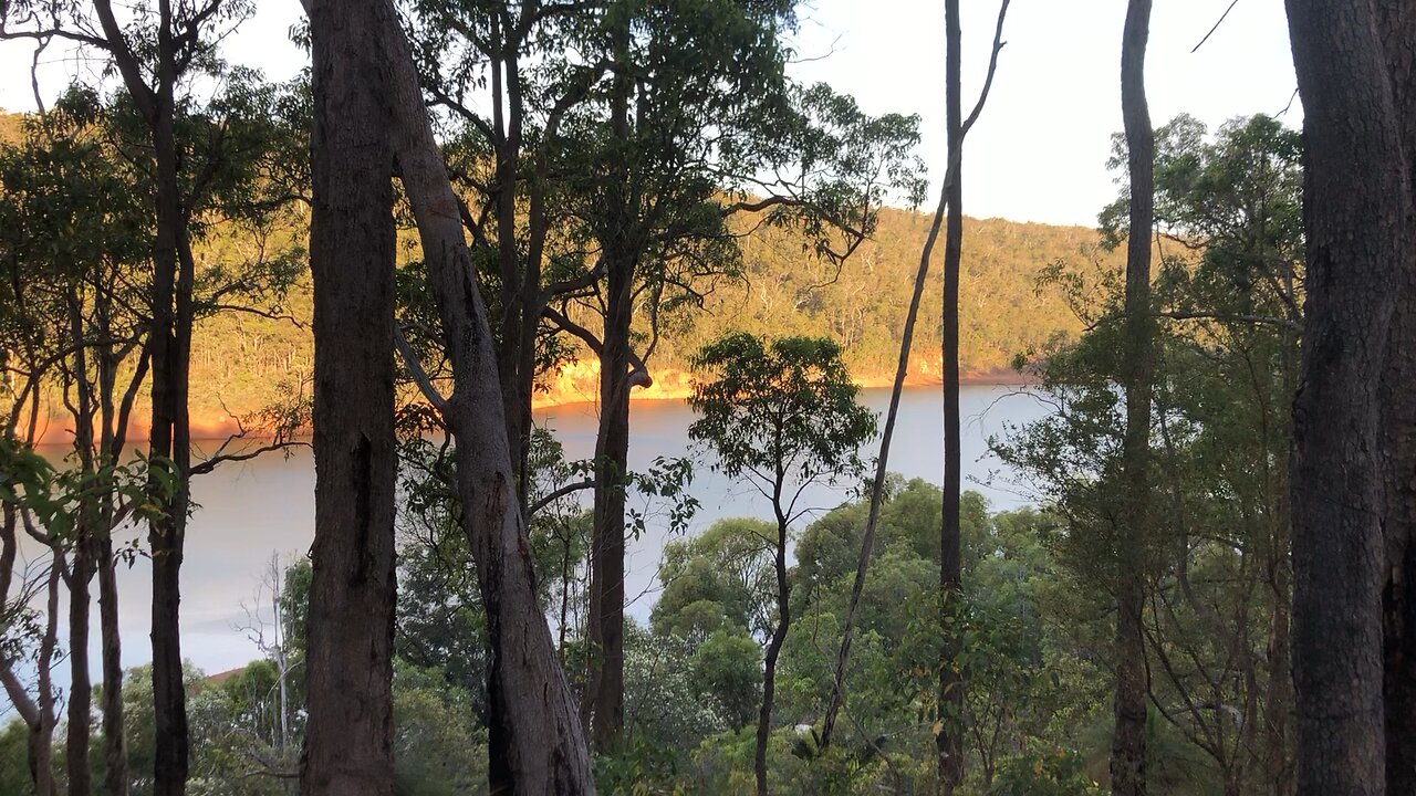 Finding this on a hike 😎🇦🇺🙌