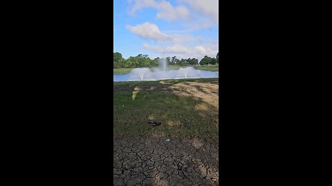 My Peaceful Place - What's Going on in England?
