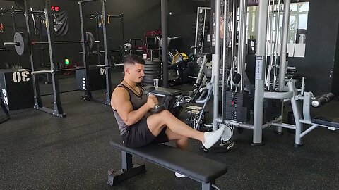 Seated Dumbbell Shoulder Internal : External Rotation