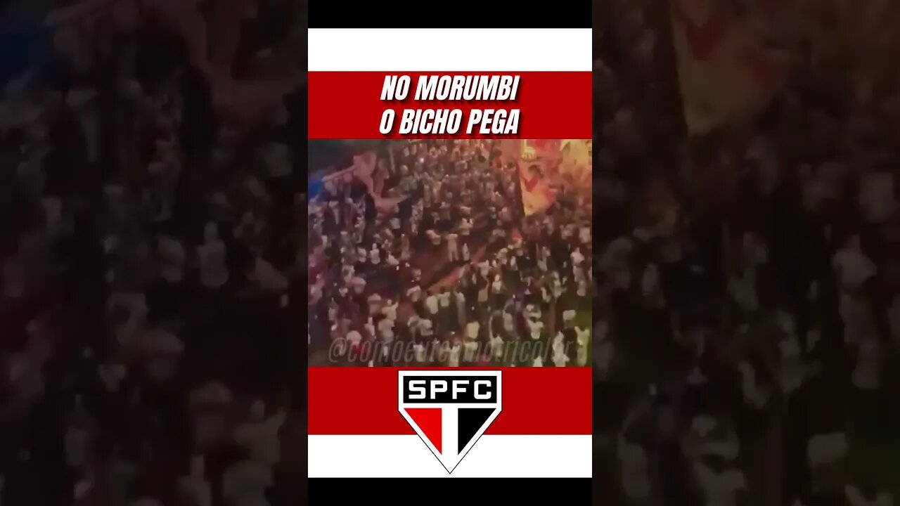 SPFC #saopaulo #tricolor #spfc