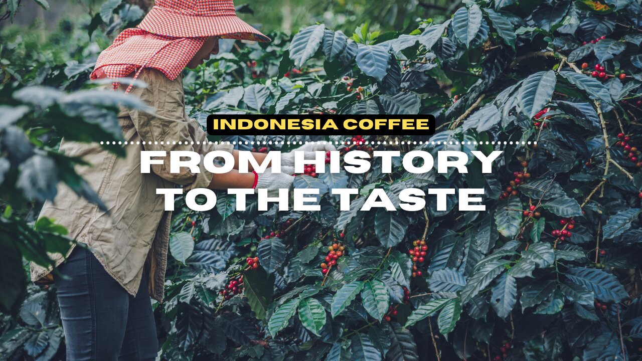 The History of Coffee in Indonesia: From Colonial Times to the Present