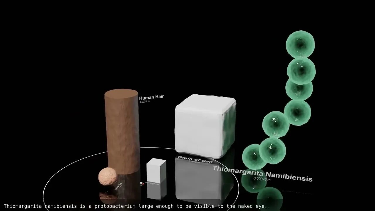 Universe Size Comparison 2020