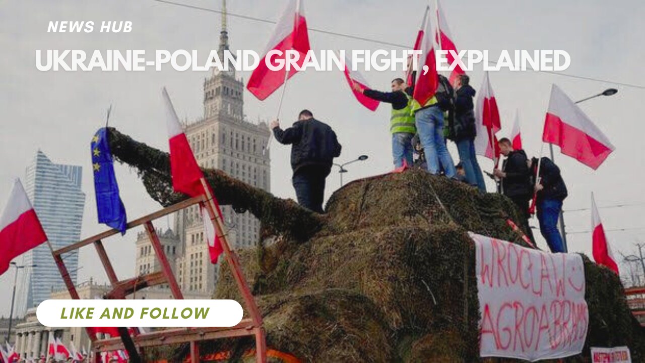 Why Allies Ukraine And Poland Are Fighting Over Grain ||News Hub