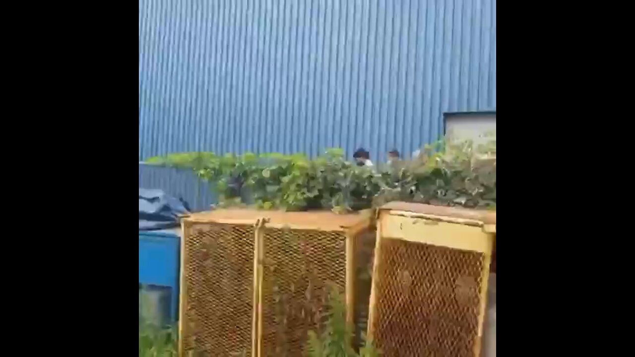 This one is for Justin Trudeau😆