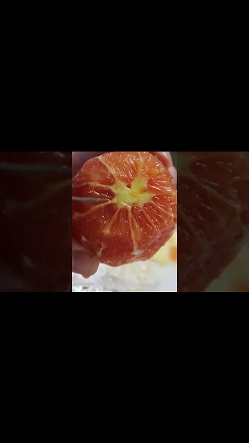 How to Cut Out Orange Segments #fruitcutting #fruitsalad #citrus