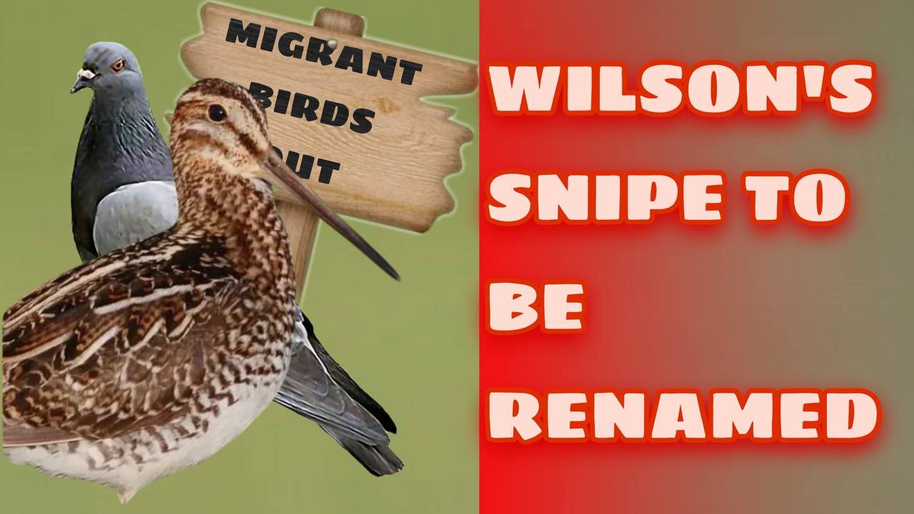 RACIST Birds To Be Renamed