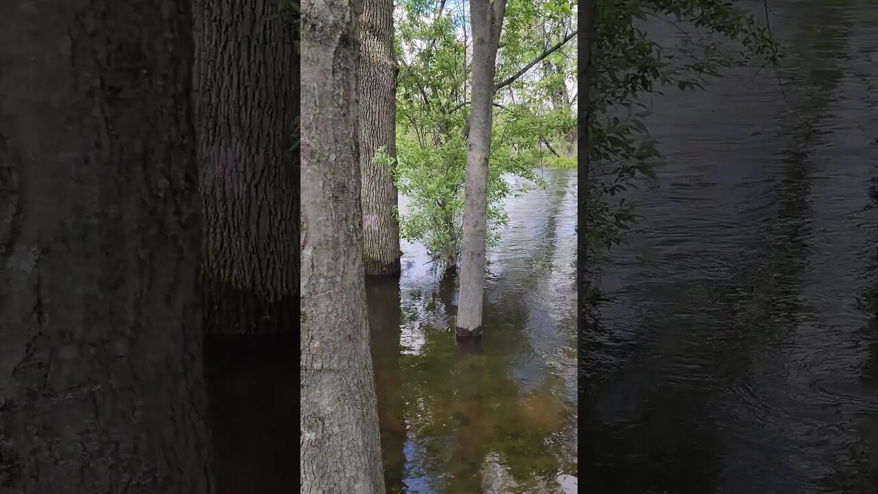 River is very high in Denville, NJ #Denville #river #nj