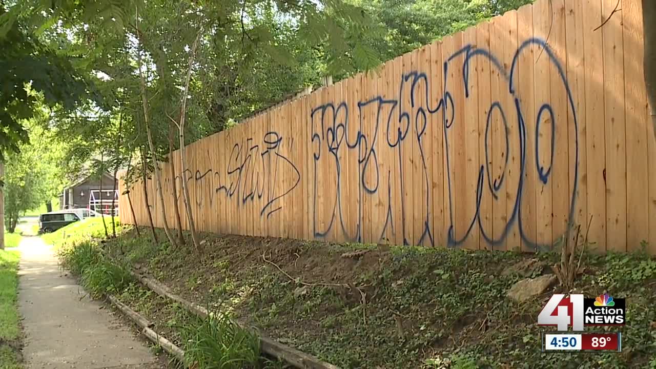 South Hyde Park neighbors upset over recent vandalism