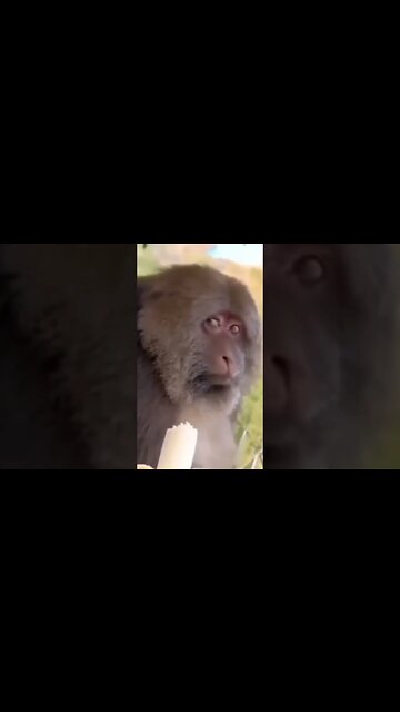 Sometimes, words aren’t needed