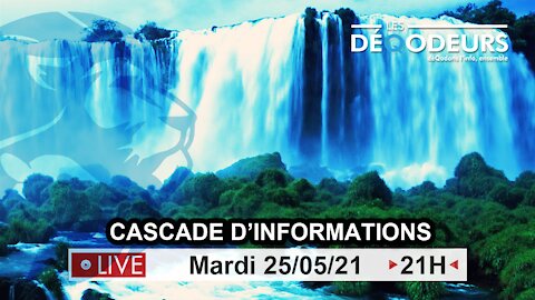 Cascade d'informations !!! - 25/05/2021