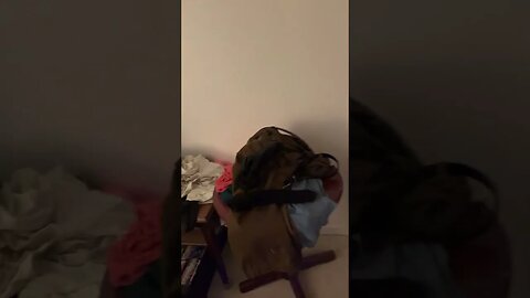 About to wake up and start my day enjoy 😊