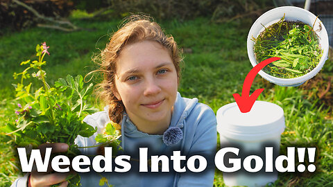 How to make FERTILISER FAST from weeds - 2 simple ingredients! Its FREE! Weeds into GARDEN GOLD