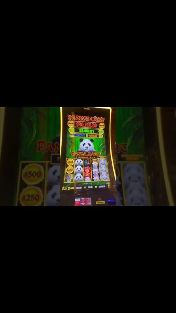 The First Biggest Jackpot of My Life! Whole Video Posted On My YouTube Channel! #shorts #shortsvideo