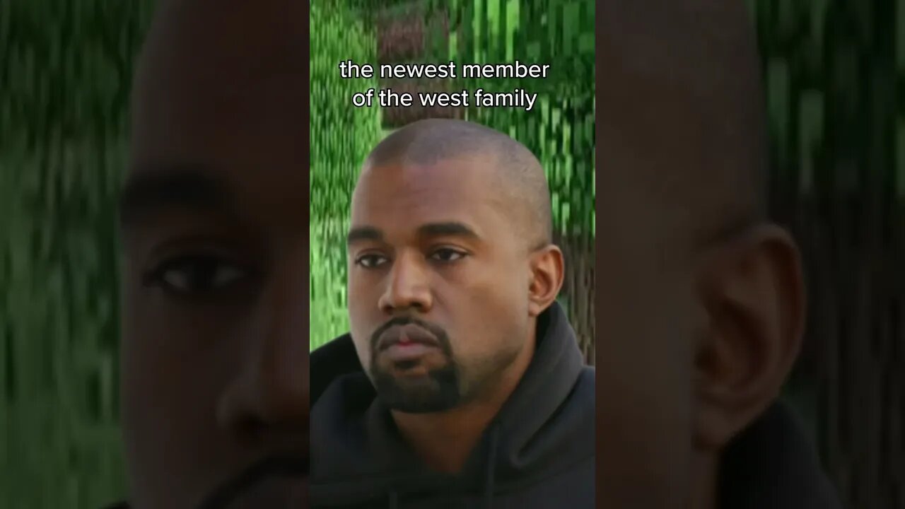 Mr. West Obtains A New dog!