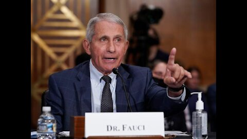 Fauci Says It’s “Too Soon” To Know If Americans Are Allowed To Get Together For Christmas This Year