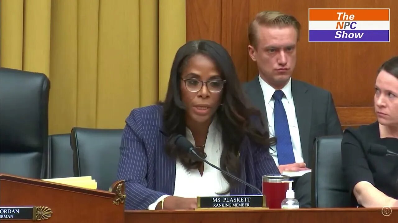 Stacey Plaskett Wasting Time In Matt Taibbi's Testimony To Congress 🟠⚪🟣 NPC Crime