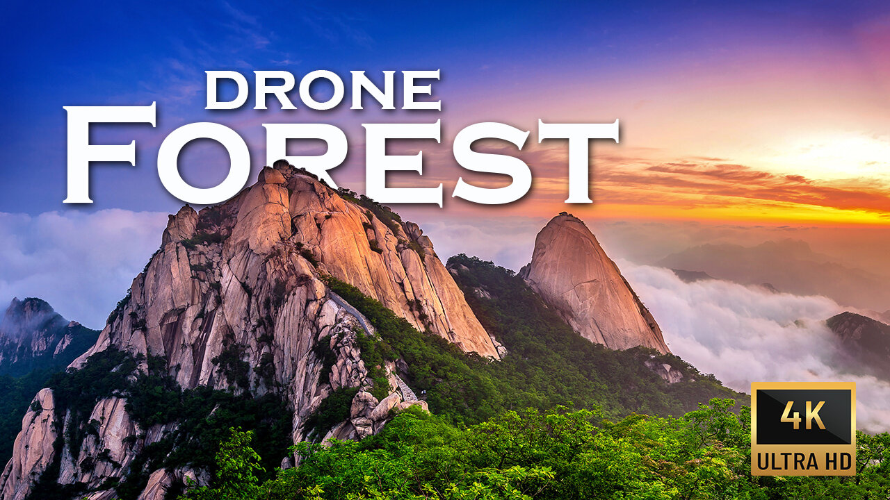 Drone Forest 4K video |4K HDR 60fps | 4K Videos Ultra HD | 4K UHD fOREST | Music HD Video