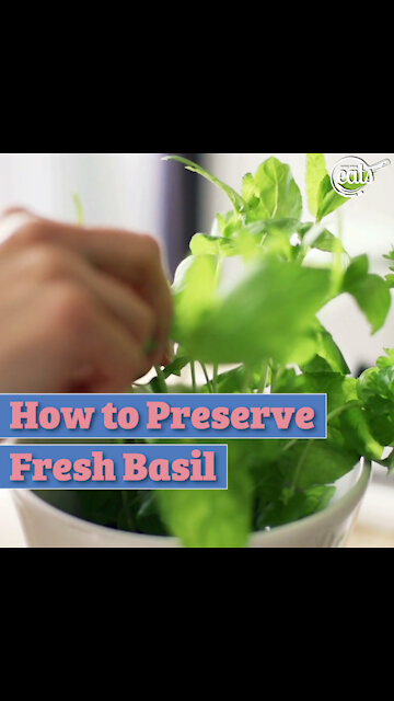 How to Preserve Fresh Basil