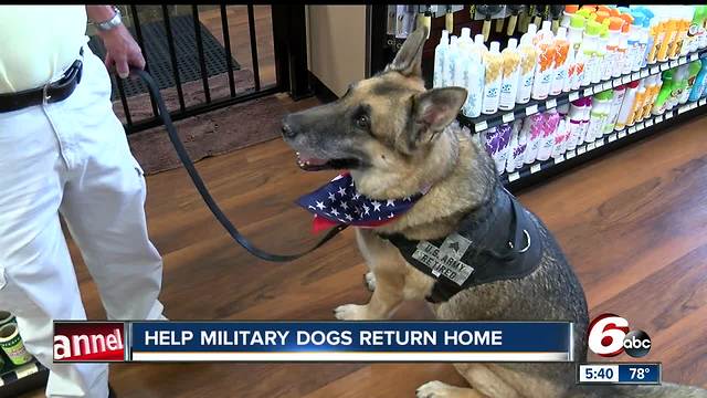 Help military dogs find loving homes