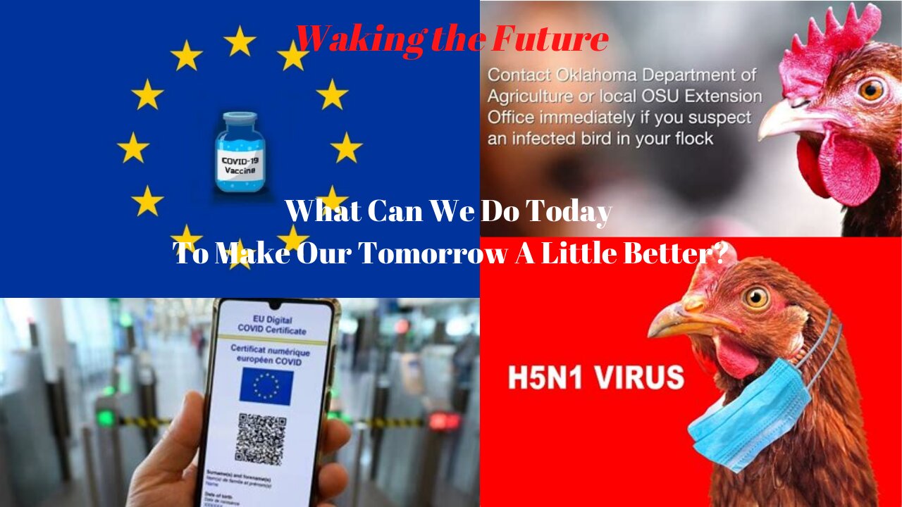 EU Digital ID Extension, "Bird Flu" Adding To The Food Crisis More Convid In The News... 04-11-2022