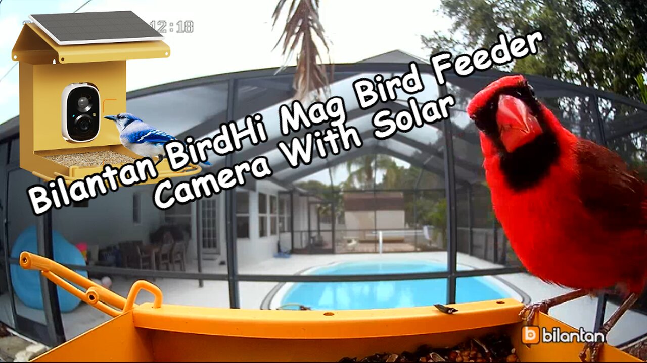 Bilantan BirdHi Mag Metal Smart Bird Feeder Camera Solar Powered Review 2024