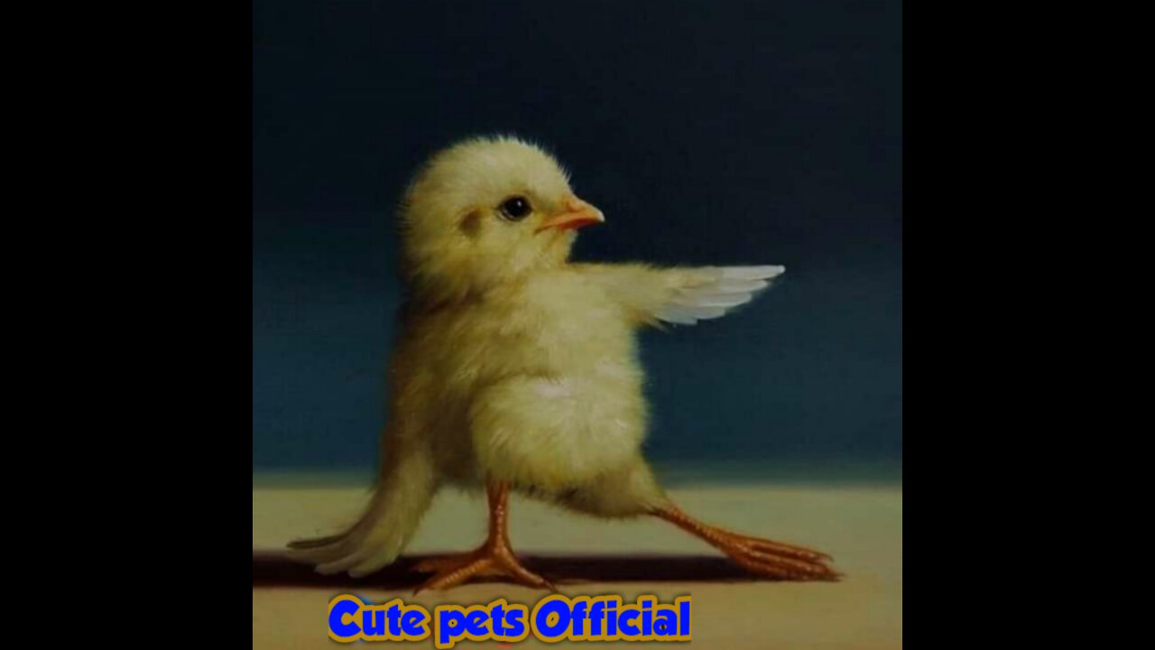 Top 10 Cute rare birds