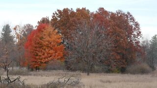 Stony Creek Fall Colors Finale