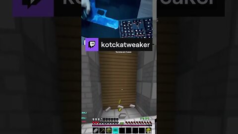 MATEI TUDO COM UM PAO | kotckatweaker em #Twitch