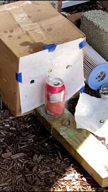 22 pellet VS a can filled with water.