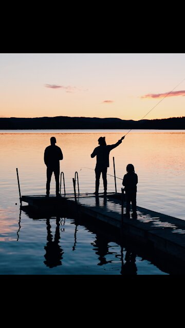 Catching Shrimps Scaling Wall During Flood 🐟 #shorts