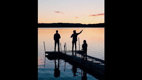 Catching Shrimps Scaling Wall During Flood 🐟 #shorts